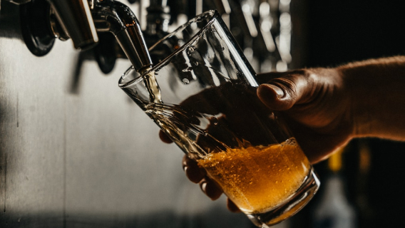 Geneious 中文网站 Menu 05